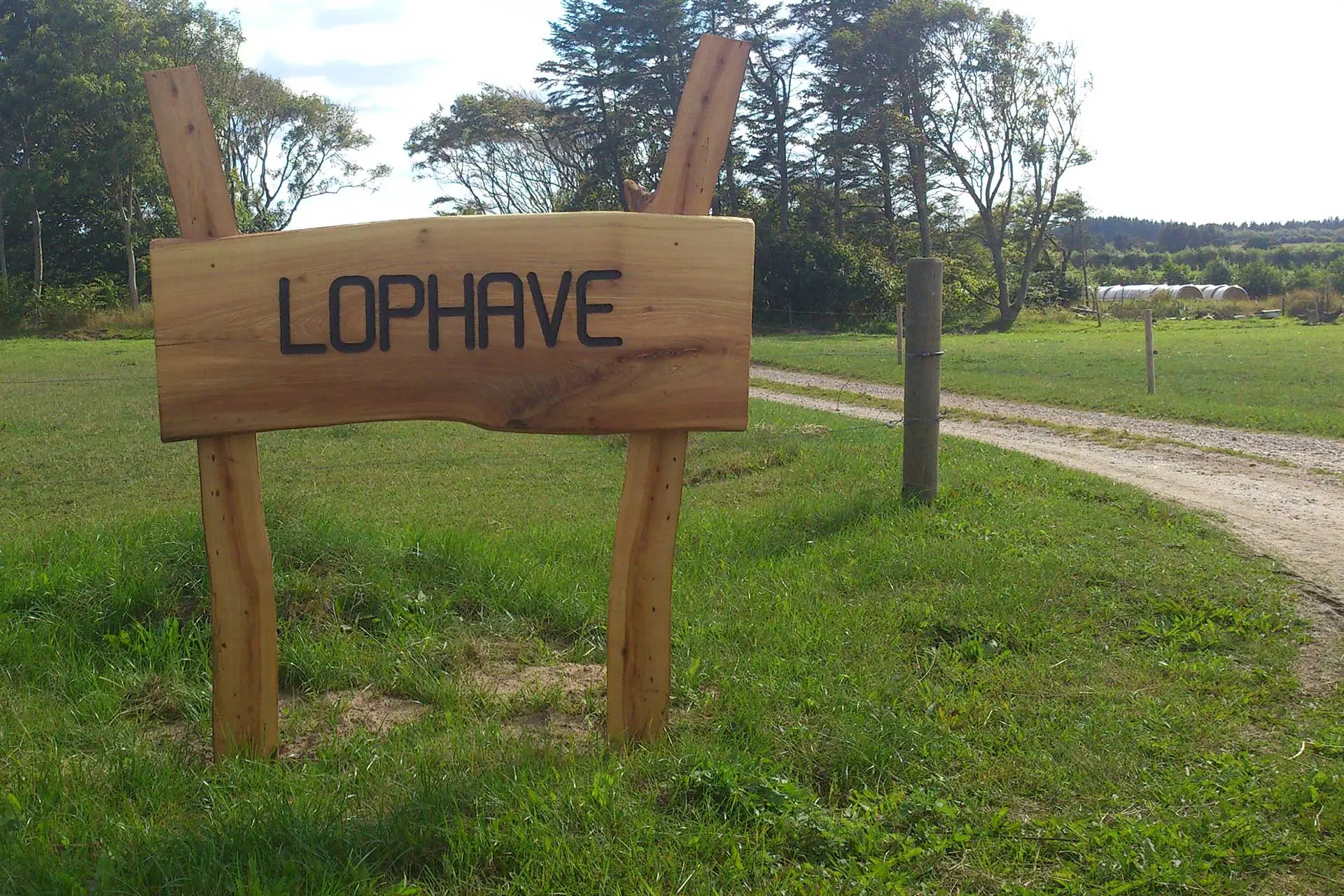 Fra Lophave Hereford